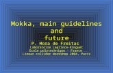Mokka, main guidelines and future