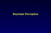 Bayesian Perception