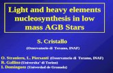 Light and heavy elements nucleosynthesis in low mass AGB Stars
