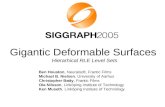 Gigantic Deformable Surfaces Hierarhical RLE Level Sets