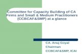 CA. Anuj Goyal Chairman  CCBCAF&SMP, ICAI