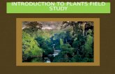 INTRODUCTION TO PLANTS FIELD STUDY