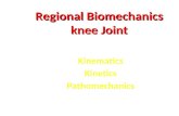 Regional Biomechanics knee Joint
