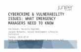 Cybercrime  & Vulnerability Issues: What Emergency Managers need to know