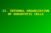 II. INTERNAL ORGANIZATION OF EUKARYOTIC CELLS
