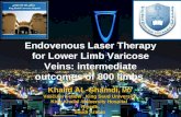 Endovenous  Laser Therapy for Lower Limb Varicose Veins: intermediate outcomes of 800 limbs  .