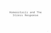 Homeostasis and The Stress Response