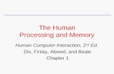 The Human Processing and Memory