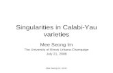 Singularities in Calabi-Yau varieties