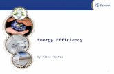 Energy Efficiency  By Flexx Rantoa