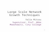 Large Scale Network Growth Techniques