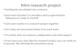 Mini-research project