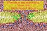 Membrane Bioinformatics  SoSe 2009 B¶ckmann & Helms
