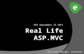 Real Life ASP.MVC