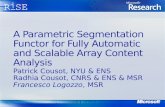 A Parametric Segmentation Functor for Fully Automatic and Scalable Array Content Analysis