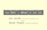 A Gentle Introduction to DDI - What's in it for me?