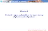 Chapter 6  Protective agent and additives for freeze-drying of pharmaceutical products