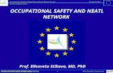 OCCUPATIONAL SAFETY AND NEATL NETWORK