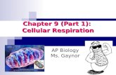 AP Biology Ms. Gaynor