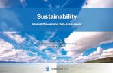 Sustainability Internal Drivers and Self-Assessment