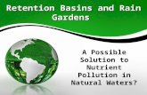 Retention Basins and Rain Gardens
