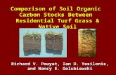 Comparison of Soil Organic  Carbon Stocks Between  Residential Turf Grass & Native Soil