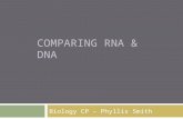 Comparing RNA & DNA