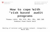 How to cope with  “risk based” audit programs