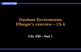 Database Environments Pfleeger’s overview – Ch 6