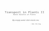 Transport in Plants II Water Balance of Plants
