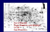 Pat O’Farrell Dept. Biochem and Biophys. UCSF San Francisco