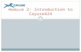 Module 2: Introduction to Cayuse424