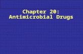 Chapter 20: Antimicrobial Drugs