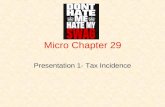 Micro Chapter 29
