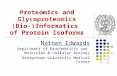 Proteomics and Glycoproteomics (Bio-)Informatics  of Protein Isoforms