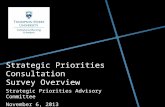 Strategic Priorities Consultation  Survey Overview