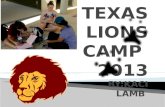 TEXAS LIONS CAMP  2013  BY:KACI LAMB