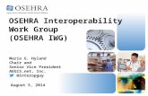 OSEHRA Interoperability  Work Group  (OSEHRA IWG)