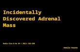 Incidentally Discovered  Adrenal Mass Radio  Clin  N  Am  49 ( 2011) 361-368 Danilo Fausto