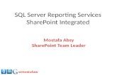 SQL Server Reporting Services SharePoint Integrated