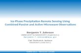 Ice-Phase Precipitation Remote Sensing Using  Combined Passive and Active Microwave Observations