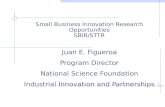 Small Business Innovation Research Opportunities SBIR/STTR