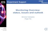 Monitoring Overview: status, issues and outlook