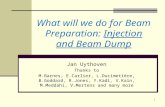 What will we do for Beam Preparation:  Injection and Beam Dump