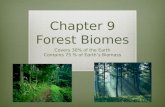 Chapter 9 Forest Biomes