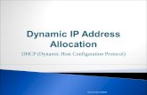 Dynamic IP Address Allocation