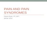 Pain and Pain Syndromes