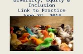 Diversity, Equity & Inclusion Link to Practice June 3 rd , 2014