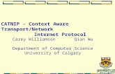 CATNIP – Context Aware Transport/Network         Internet Protocol