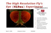 The High Resolution Fly’s Eye  ( HiRes )  Experiment